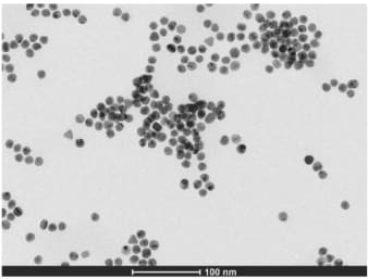 Nanopartículas de ouro vistas ao microscópio eletrônico de transmissão: pontos escuros e arredondados, isolados e em grupos.